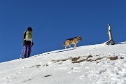 Pizzo Baciamorti e Monte Aralalta, ammantati di neve, con giro ad anello da Capo Foppa di Pizzino il 30 dic. 2019 - FOTOGALLERY